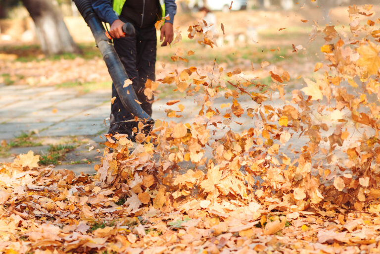 A grounds worker clearing autumn leaves with a leaf blower